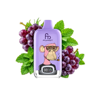 RandM Tornado 12000 Grape Mint