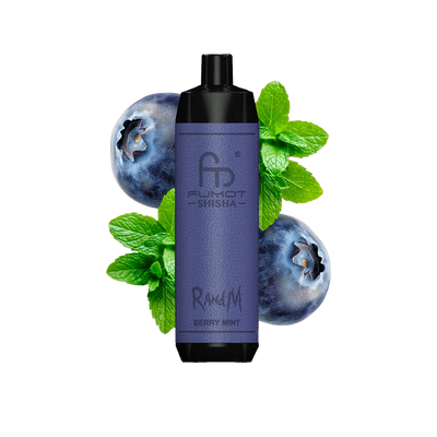 RandM Shisha 10000 Einweg Vape Berry Mint – 10000 Züge Produktbild