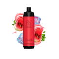RandM Shisha 10000 Watermelon Ice Bild 1